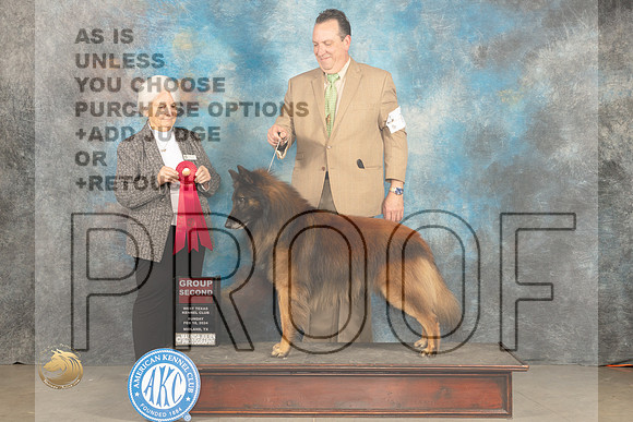 Belgian Tervuren #9 Sun G2 Judge Gloria Kerr_JP_2195_MIDLAND2024_HR3