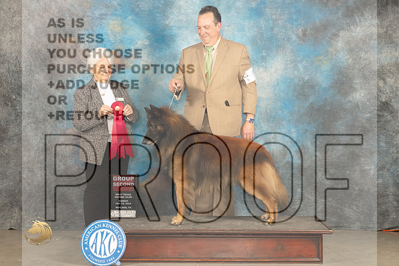 Belgian Tervuren #9 Sun G2 Judge Gloria Kerr_JP_2194_MIDLAND2024_HR3