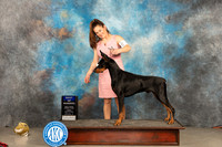 Doberman Pinscher #5 Fri BOW Judge Tim Robbins