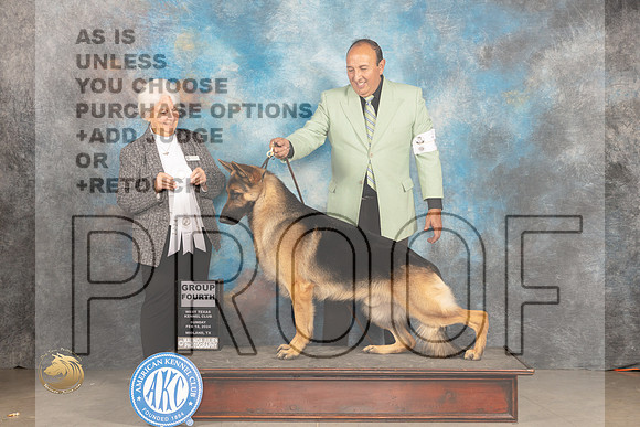 German Shepherd Dog #7 Sun G4 Judge Gloria Kerr_JP_2207_MIDLAND2024_HR3