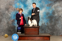 Papillon #9 Sun G2 Judge Donnelle Richards