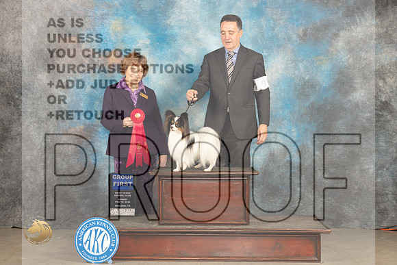 Papillon #9 Sun G2 Judge Donnelle Richards_JP_2072_MIDLAND2024_HR3