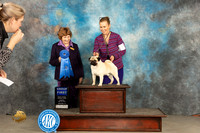 Pug #11 Sunn G1 Judge Donnelle Richards