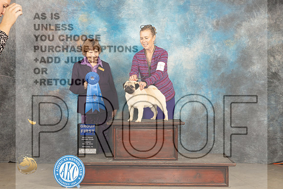 Pug #11 Sunn G1 Judge Donnelle Richards_JP_2063_MIDLAND2024_HR3