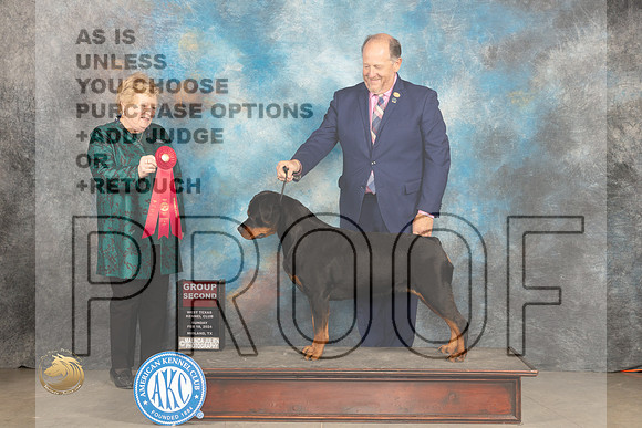 Rottweiler #16 Sun G2 Judge Judy Brown_JP_2089_MIDLAND2024_HR3
