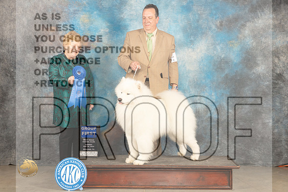 Samoyed #5 Sun G1 Judge Judy Brown_JP_2078_MIDLAND2024_HR3