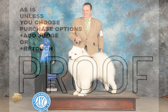 Samoyed #5 Sun G1 Judge Judy Brown_JP_2084_MIDLAND2024_HR3
