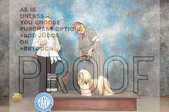 Lhaso Apso #6 Sun G4 Judge Carolyn Herbel_JP_2240_MIDLAND2024_HR3