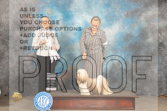 Lhaso Apso #6 Sun G4 Judge Carolyn Herbel_JP_2244_MIDLAND2024_HR3