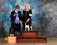 French Bulldog #512 Fri PBIS Judge Jennifer Landers