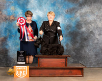 Scottish Terrier #484 Fri ABIS Judge Jennifer Landers