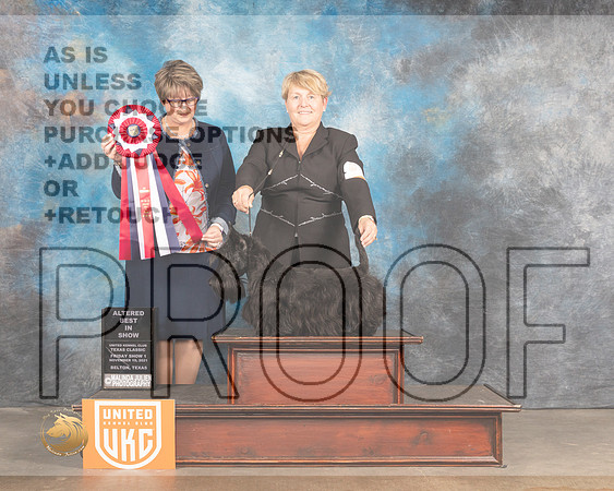 Scottish Terrier #484 Fri ABIS Judge Jennifer Landers_MMJ_5002_BeltonTxClassic2021-HR3