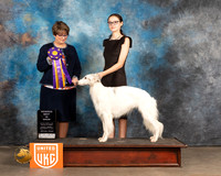 Silken Windhound #331 Fri RBIS Judge Jennifer Landers