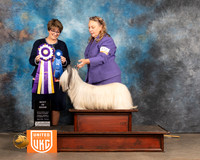 Skye Terrier #378 Fri BIS Judge Jennifer Landers