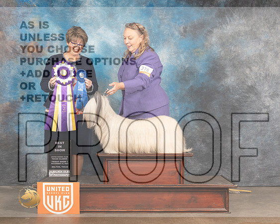 Skye Terrier #378 Fri BIS Judge Jennifer Landers_MMJ_5009_BeltonTxClassic2021-HR3