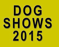 Dog Shows 2015