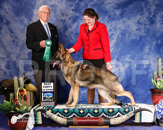 GSD-0439-GRJan14-HR