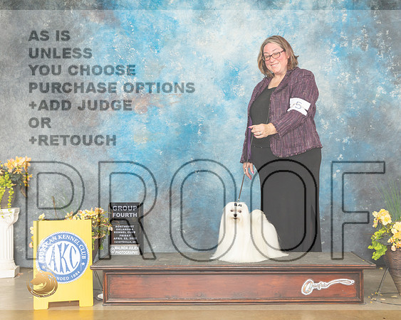 Maltese #5 Fri G4 Judge Betty Pollock-MMJ_9895-NWARK2022-HR3