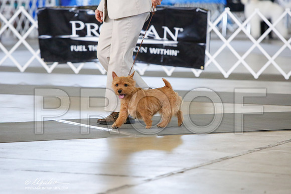 _JJ_8081-DallasJul2014-HR3