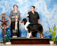 #639 Wed Alt Premier Adriana Franciotti Sheri K Trusty Judge Debbie Gower