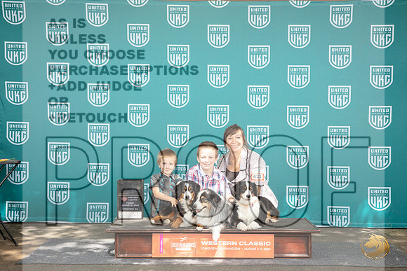 Miniature American Shepherd Family Photo Fri __JP_1101_Longview WA_2024_HR3