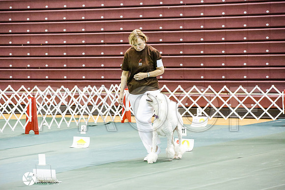_JJ_4489-BsrCtyJun2014-HR3