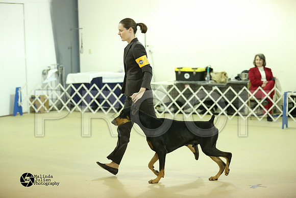 Dobe-0285-HtoJan14-HR