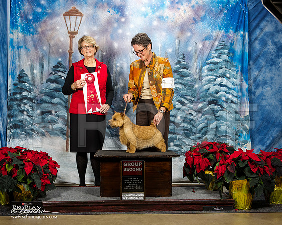 _ST_8235-DallasDec2014-HR3