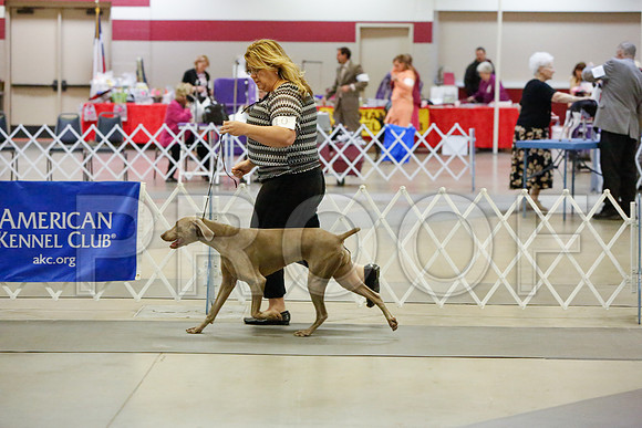_JJ_2025-AmarilloSept2014-HR3