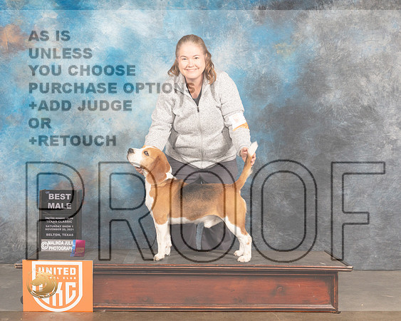 Beagle 15 #386 Sat BM Judge Nancy Elks_MMJ_5136_BeltonTxClassic2021-HR3
