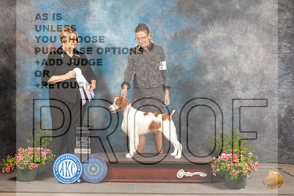 Brittany #23 Sun G4 Judge Cindy Lane_MJ_1649_SA_2022_HR3
