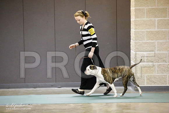 _JN_3928-BeltonJan2015-HR3