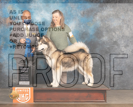 Alaskan Malamute #274 Sat Judge Stan Matsumoto_MMJ_5214_BeltonTxClassic2021-HR3