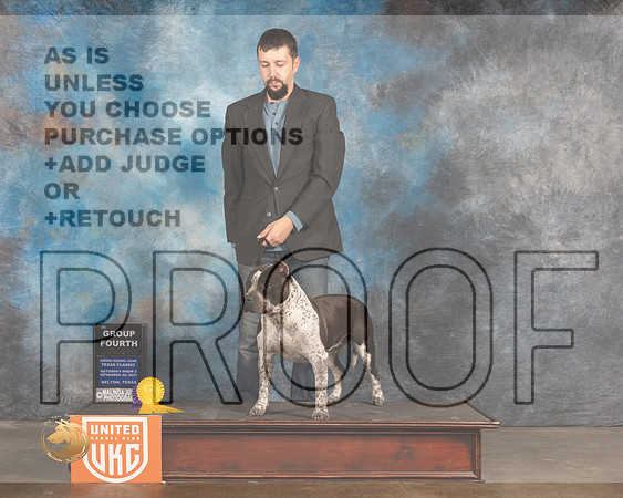 American Bully #463 Sat2 BOBG4 Judge Jennifer Landers_MMJ_5280_BeltonTxClassic2021-HR3