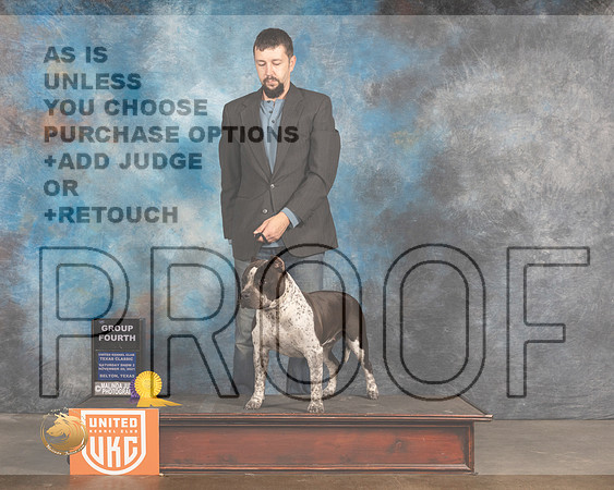 American Bully #463 Sat2 BOBG4 Judge Jennifer Landers_MMJ_5282_BeltonTxClassic2021-HR3