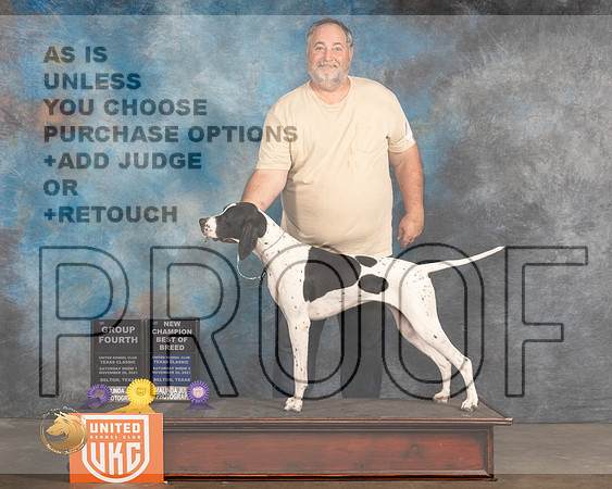English Pointer #157 Sat BOB Judge Kevin_MMJ_5251_BeltonTxClassic2021-HR3