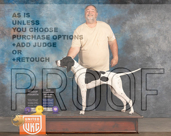 English Pointer #157 Sat BOB Judge Kevin_MMJ_5252_BeltonTxClassic2021-HR3