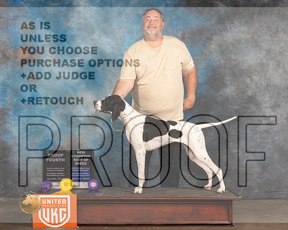 English Pointer #157 Sat BOB Judge Kevin_MMJ_5255_BeltonTxClassic2021-HR3