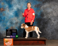 Kromfphrlander #163 Sat1 BOB S2 G3 Judge Nancy Elks