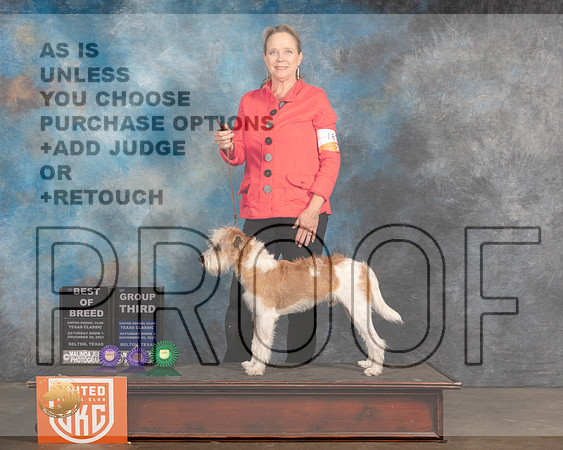 Kromfphrlander #163 Sat1 BOB S2 G3 Judge Nancy Elks_MMJ_5263_BeltonTxClassic2021-HR3
