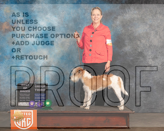 Kromfphrlander #163 Sat1 BOB S2 G3 Judge Nancy Elks_MMJ_5265_BeltonTxClassic2021-HR3