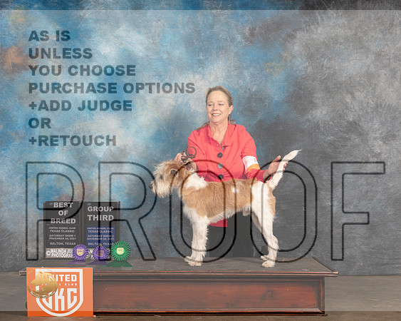 Kromfphrlander #163 Sat1 BOB S2 G3 Judge Nancy Elks_MMJ_5266_BeltonTxClassic2021-HR3
