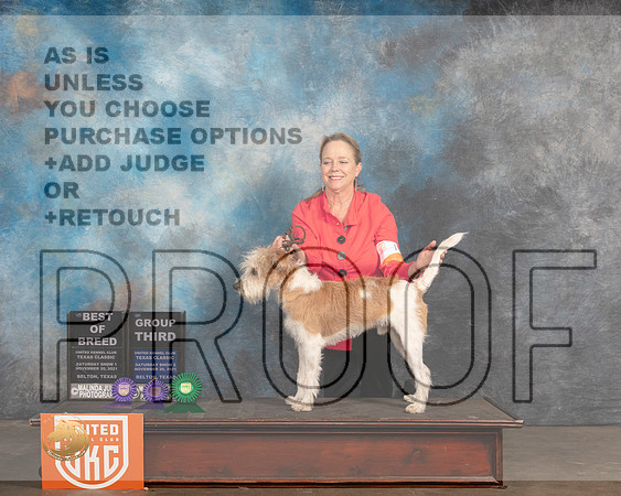 Kromfphrlander #163 Sat1 BOB S2 G3 Judge Nancy Elks_MMJ_5269_BeltonTxClassic2021-HR3
