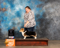Pembroke Welsh Corgi #471 Sat RWD Judge Rich Klatt