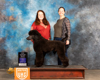 Poodle Std #329 Sat BOW Judge? r
