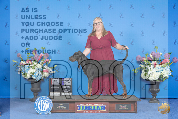 Black and Tan Coonhound #6 SUN WB BOS M Judge Angela Pickett__JP_0505_Houston_2024_HR3