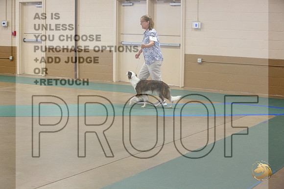 Silken Windhound #290 Ringside Sat_JJL_3803_LongviewTX_2024_HR3
