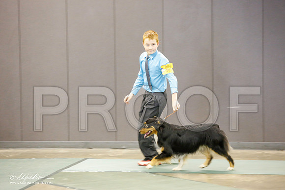 _JN_1330-BeltonJan2015-HR3