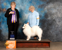 American Eskimo #205 Sat RBIS Judge Pamela Moore