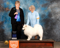 American Eskimo #205 Sat2 G1 Judge Pamela Moore